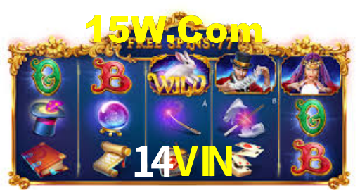 Tournaments 14VIN