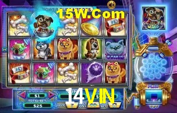 14VIN,14VIN.Com
